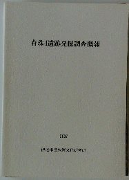 有珠4遺跡発掘調査概報