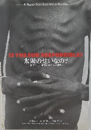 IS THE SUN RESPONSIBLE? 太陽のせいなの?