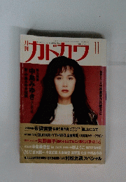 カドカワ　Vol.９　No.１１