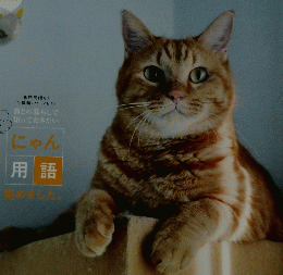 ねこのきもち 2024年3月号