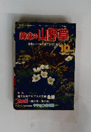 趣味の山野草　1982年10月号