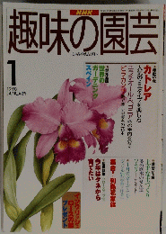 趣味の園芸　1998年1月号