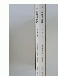 山崎4遺跡　第1分冊 本文編、　第2分冊 写真図版　