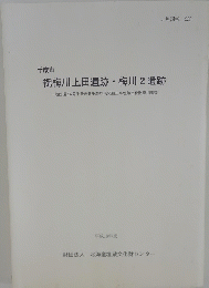 祝梅川上田遺跡・梅川2遺跡　２００６年度