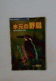 水元の野鳥