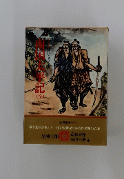 南国太平記(全) カラー版 国民の文学3