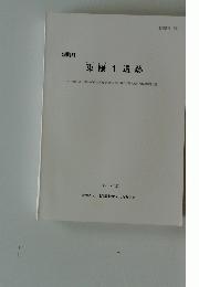 東陽1遺跡　２００５年度