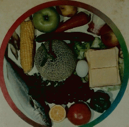 食事と健康