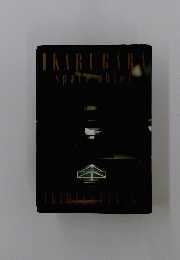 IKARUGARA　space objet 