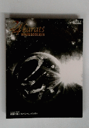 24karats BRAND BOOK 2013