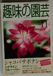 趣味の園芸　1999年11月号