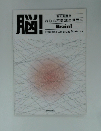 脳!　