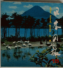 color　travel　guide　九州　１５号