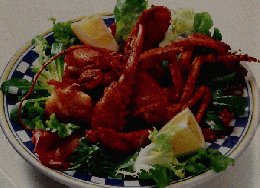 きょうの料理　1990年8月