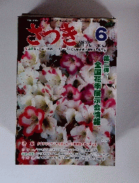 さっきの 研究　6　1980 No.１２６