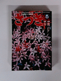 さっき研究　5