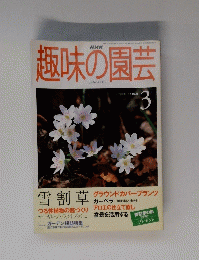 趣味の園芸　2000年3月号　