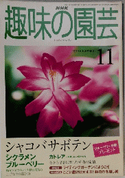 趣味の園芸　1999年11月号　