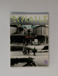 たくさんのふしぎ 1995.9