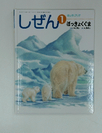 しぜん　1　はっきょくぐま