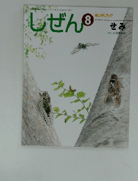 しぜん　8　せみ　