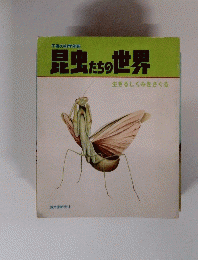 昆虫たちの世界