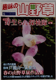 趣味の山野草　2011年6月号