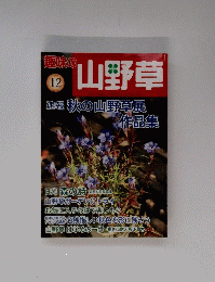 趣味の山野草　2005年12月号