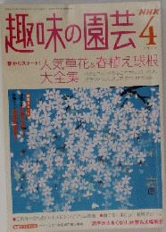 趣味の園芸4　2004年4月号