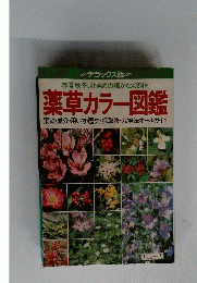 薬草カラー図鑑