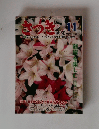 さつき研究　104　1978年11月号