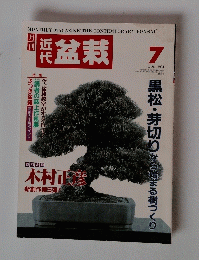 近代盆栽　1994年7月号