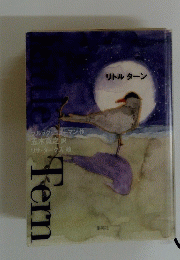 リトルターン