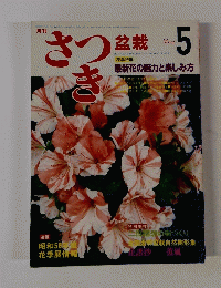さつき　盆栽　５月号