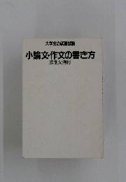 小論文・作文の書き方 添削文例付