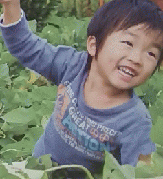 ひと・まち・緑　No.16　2008年冬号