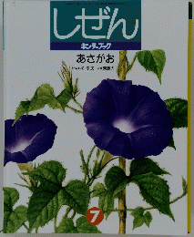 しぜん　7
