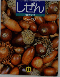 しぜん キンダーブック　１１