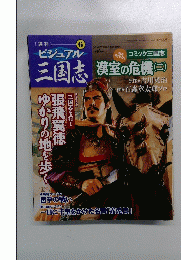 ビジュアル三国志　2004年5月号　