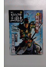 ビジュアル三国志　