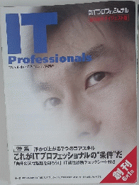 IT　Professionals　