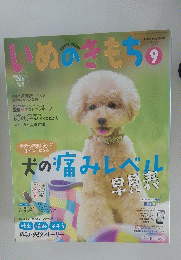 いぬのきもち　Vol.160　2015年9月号