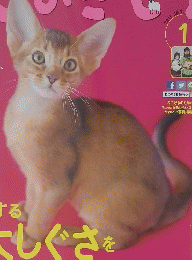 ねこのきもち 2015年1月号 Vol.116