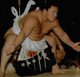 大相佳九月場所　