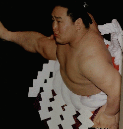 大相撲五月場所