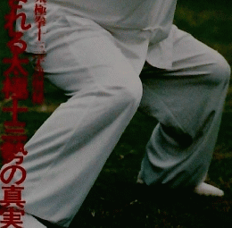 武藝　1994年2月1日発行　