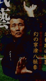 武藝　1994年冬