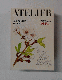 ATELIER　花を描くコツ　No.648