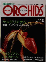 new ORCHIDS No.113 2002年5月19日