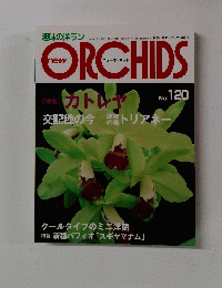 new ORCHIDS　No.120　2003年7月19日号